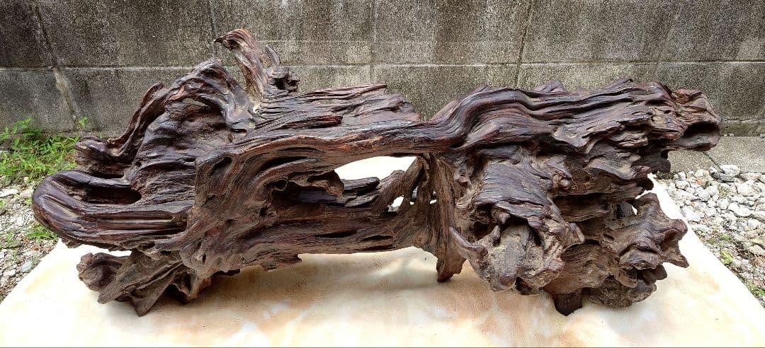 天然木根瘤 自然造形花器 置物 鑑賞木 瘤木 木のオブジェ 根木台 飾台 木目