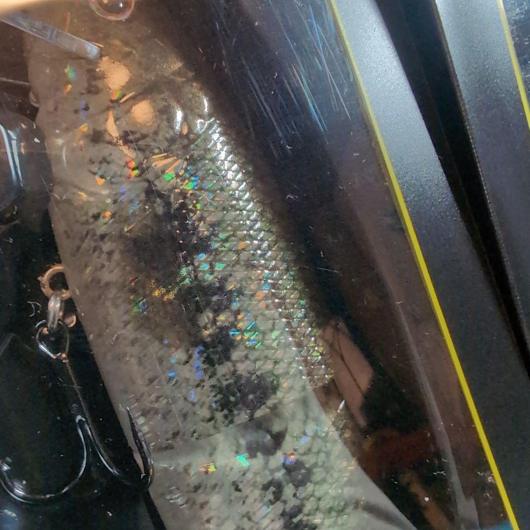 【デプス】キープキャスト限定ルアー　ハイサイダー172 リューギコラボ　ケタバス