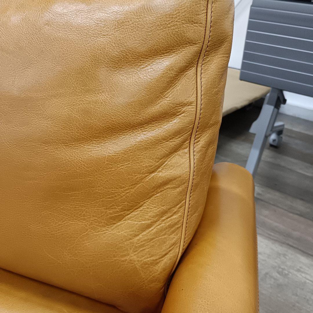 ACME Furniture ソファー Fresno Leather Sofa