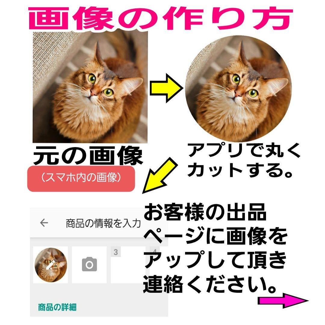 ★たいこう様用 缶バッチ 58mm ６０個