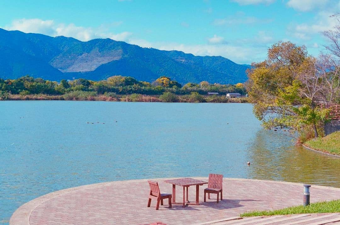 ご購入予定品　OLYMPUS M-1　標準レンズ付き　希少　動作品