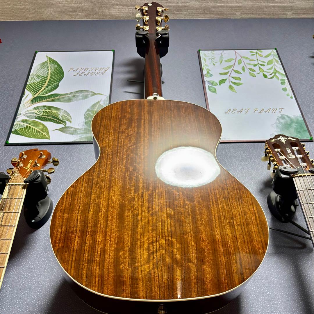 【美品エレアコ】James J500A/ova トップ単板　ソフトケース付き