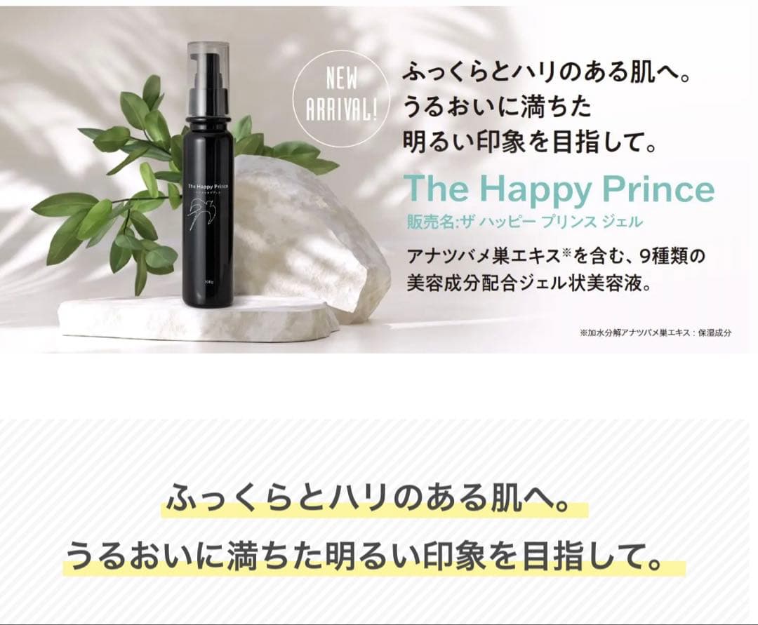 テラミー スプラッシュ パルス 2700 新品【1年保証つきはレアです】