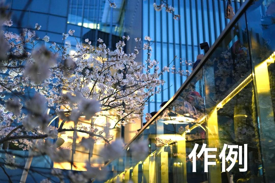 SONY FE 50mm F1.8 SEL50F18F NDフィルター セット