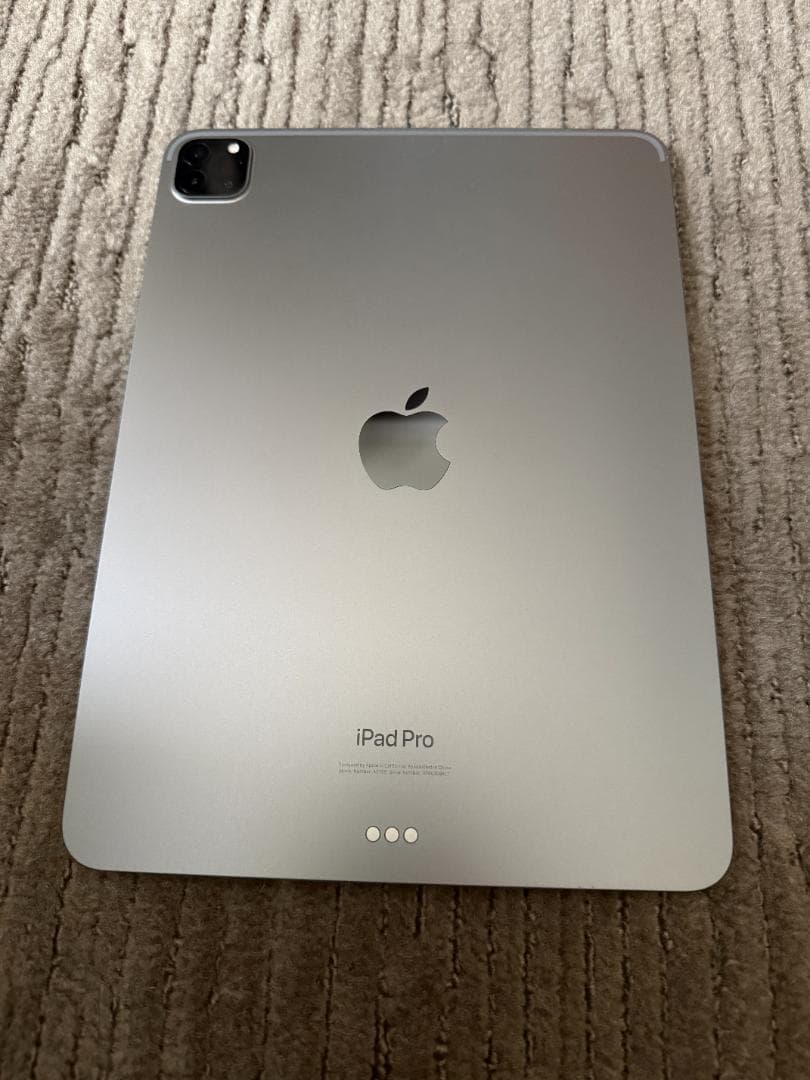 Apple iPad Pro 11インチ（第4世代）256GB