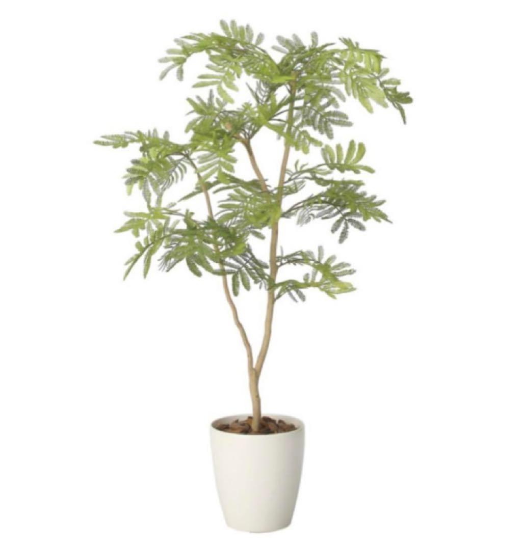 光触媒　人工観葉植物　ウォールグリーン　フェイクグリーン　ねむの木90