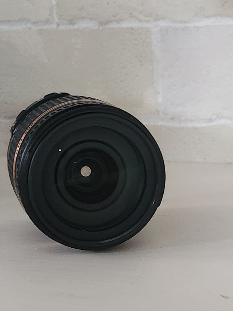 TAMRONキヤノン　AF18-270mm F/3.5-6.3 Di II VC