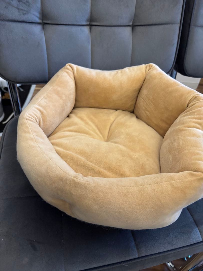 コジマ　ウッドワンサークル キャット 2段 KJセット　猫ケージ　おまけ多数