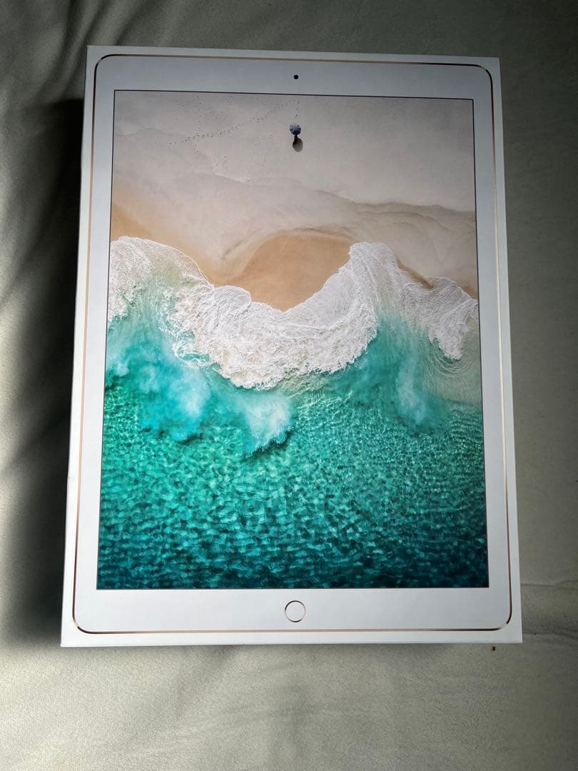 iPad pro 12.9インチ 第2世代 256GB セルラーモデル