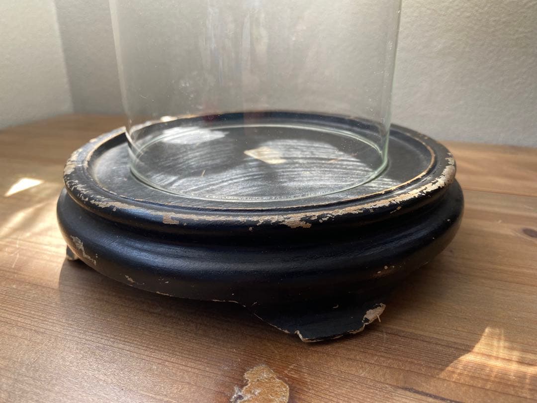 フランス　ベルギー　ガラスドーム　展示ケース　アンティーク　古道具　木　黒