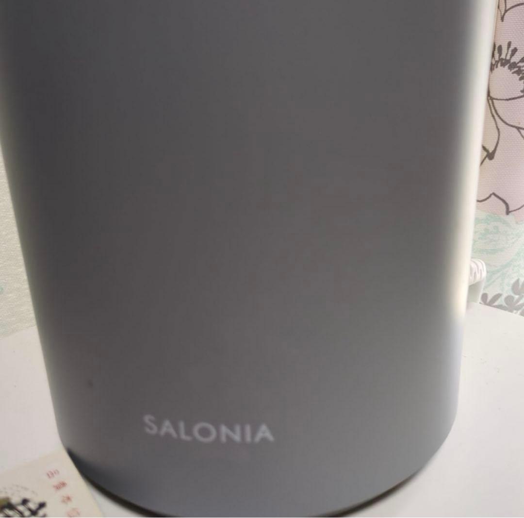 箱付属品付 美品 SALONIA ピュア ブライト スチーマー