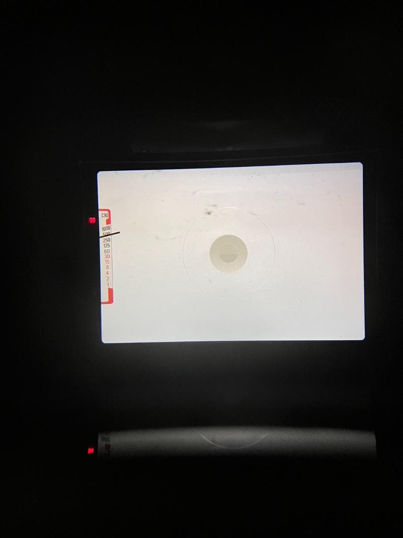 超美品　ニコン FG-20 シルバー フィルムカメラ モルト新品交換済 M117