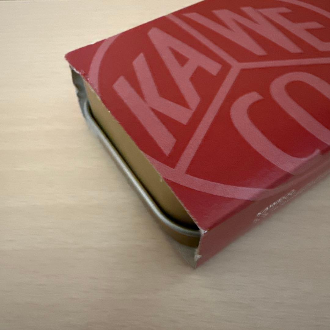 カヴェコスペシャル　レッド　万年筆