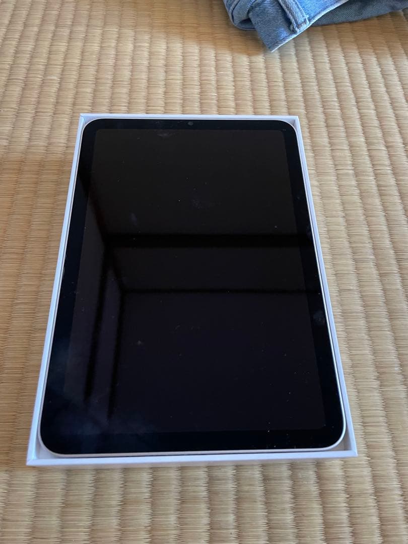 iPad mini ゴールド 本体