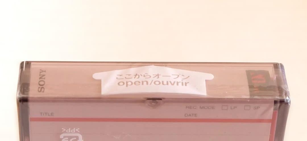 SONY miniDV DCR-PC100 ビデオカメラ本体付属品 [動作品]