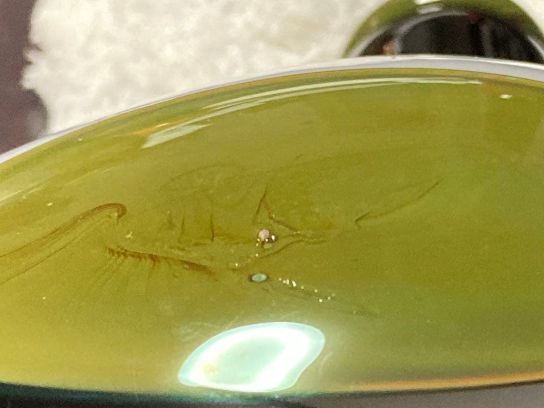 工芸品  birds oiva toikka MAGPIE