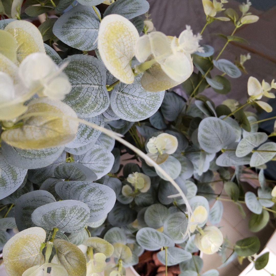 ユーカリの木130cm タイプ！銀丸葉 ！ 大型フェイクプランツ！ 未使用！