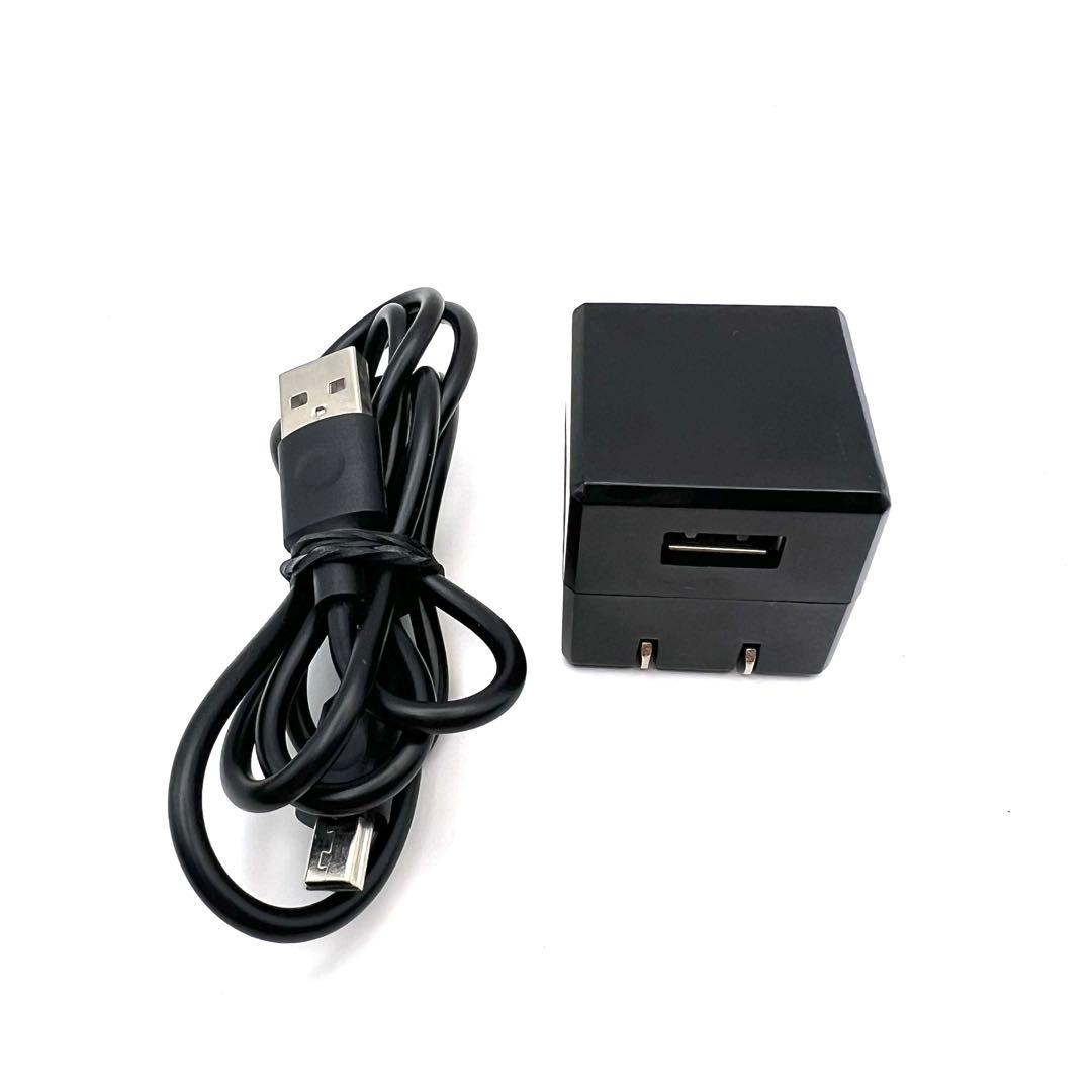 【動作確認◯】エレクトロン デンキ バリブラシ 01