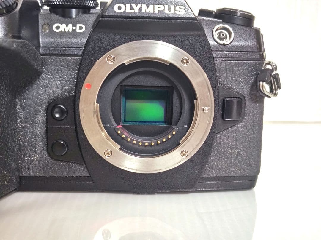 OLYMPUS OM-D E-M1 MarkⅡ ボディ 純正バッテリー他付属品