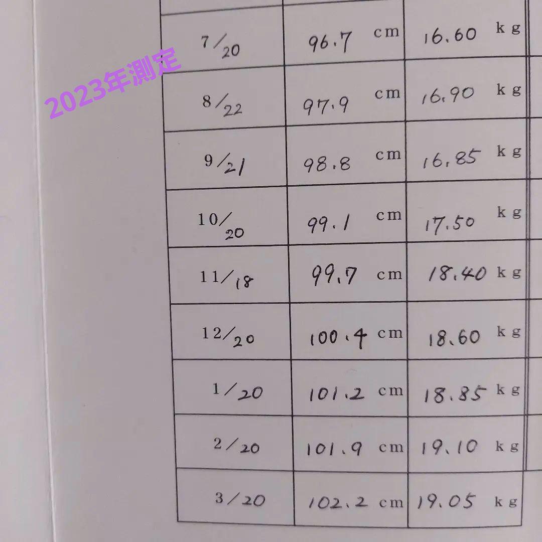 値下げ中！ISBJÖRN 子ども用スキーウェア グレー