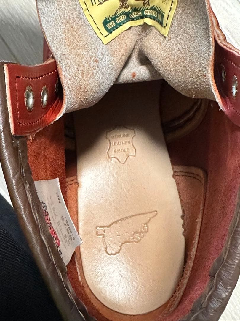 REDWING レッドウィング　アイリッシュセッター　赤茶　8875 犬タグ