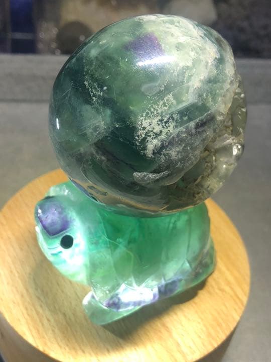 フローライト 笑口 亀