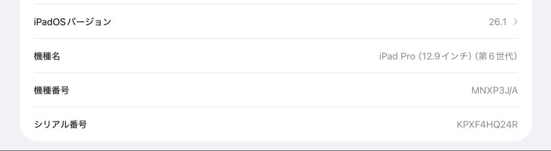 iPad Pro 12.9インチ 第6世代 128GB Wi-Fi