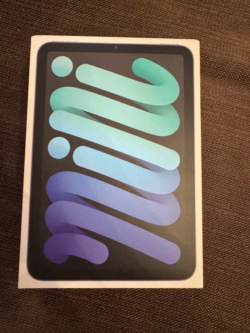 新品 iPad mini6 256GB cellular スペースブラック