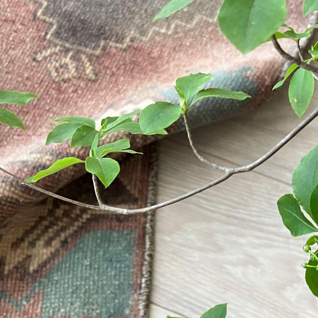 アンニュイカラー41×114ベージュココア　ペパーミント　トルコヴィンテージラグ