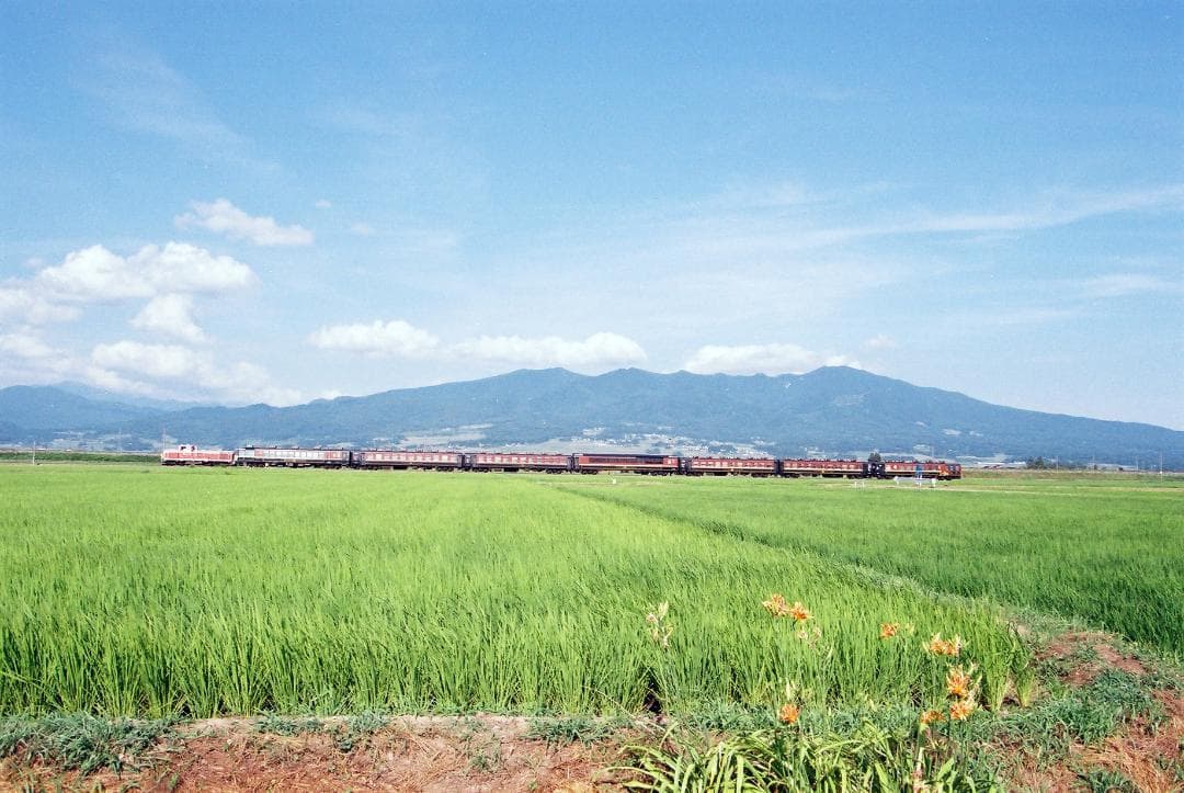 【実写確認済整備品】コンタックス139Quartz／ヤシカML50㎜f1.9付