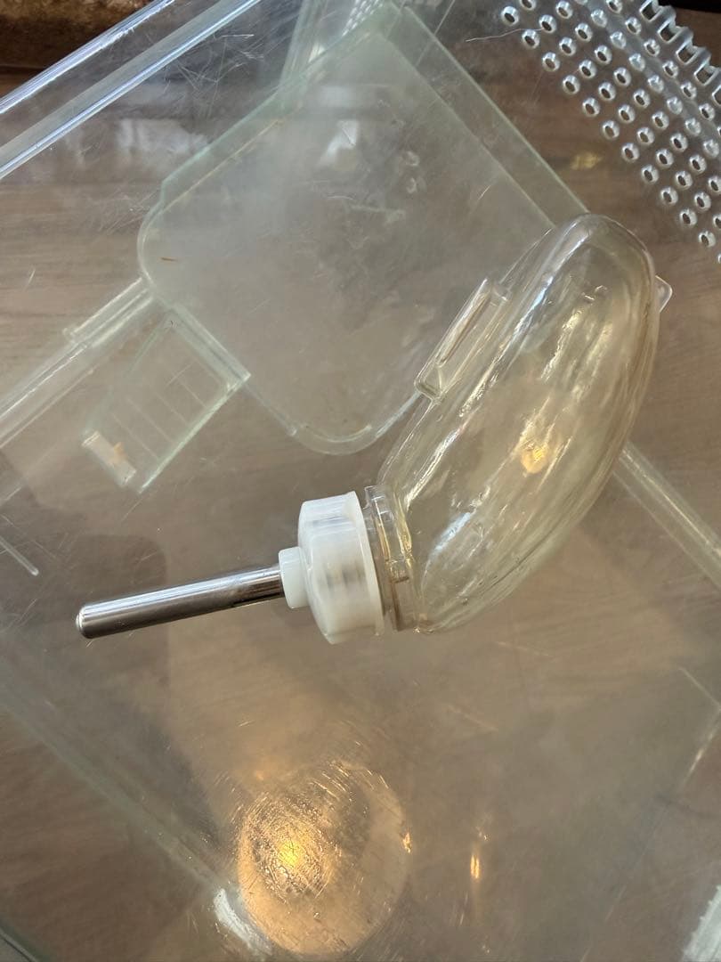 GEX グラスハーモニー600＋ステージ