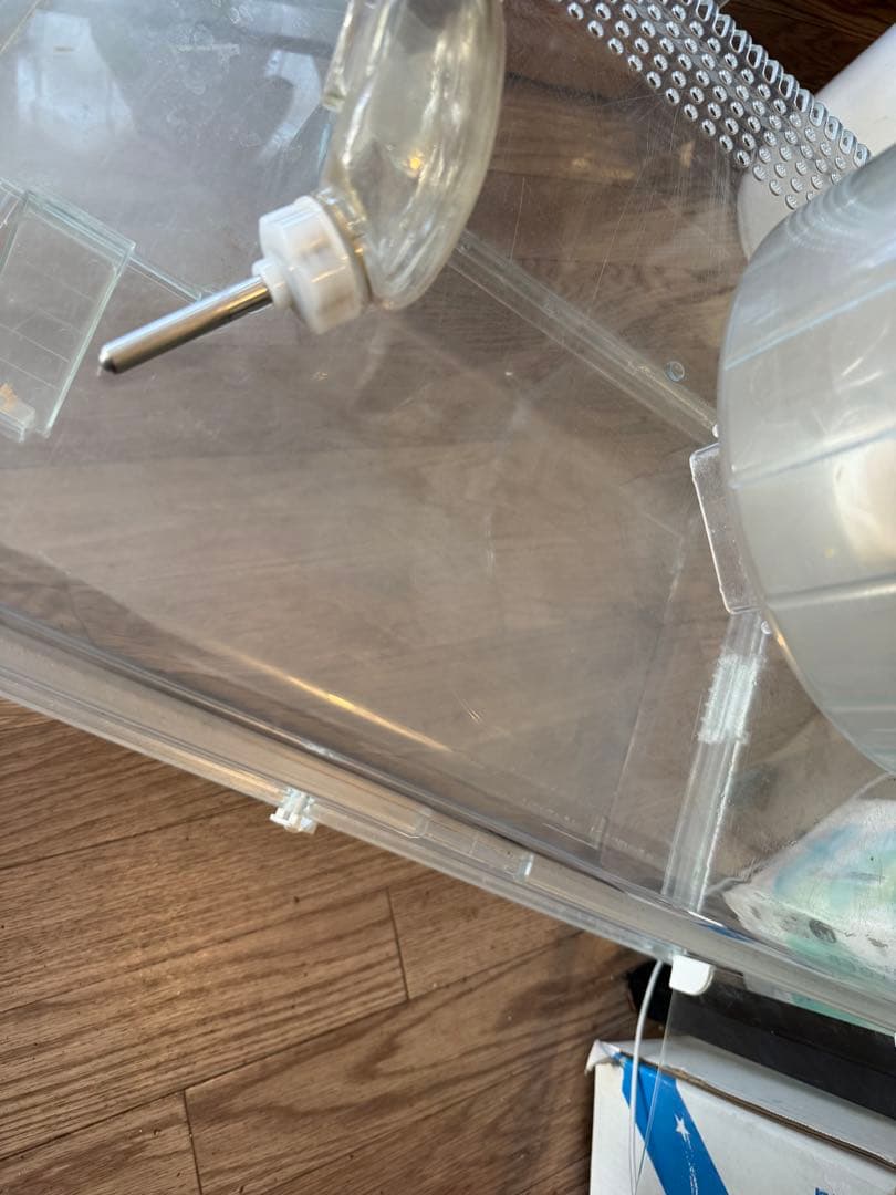 GEX グラスハーモニー600＋ステージ