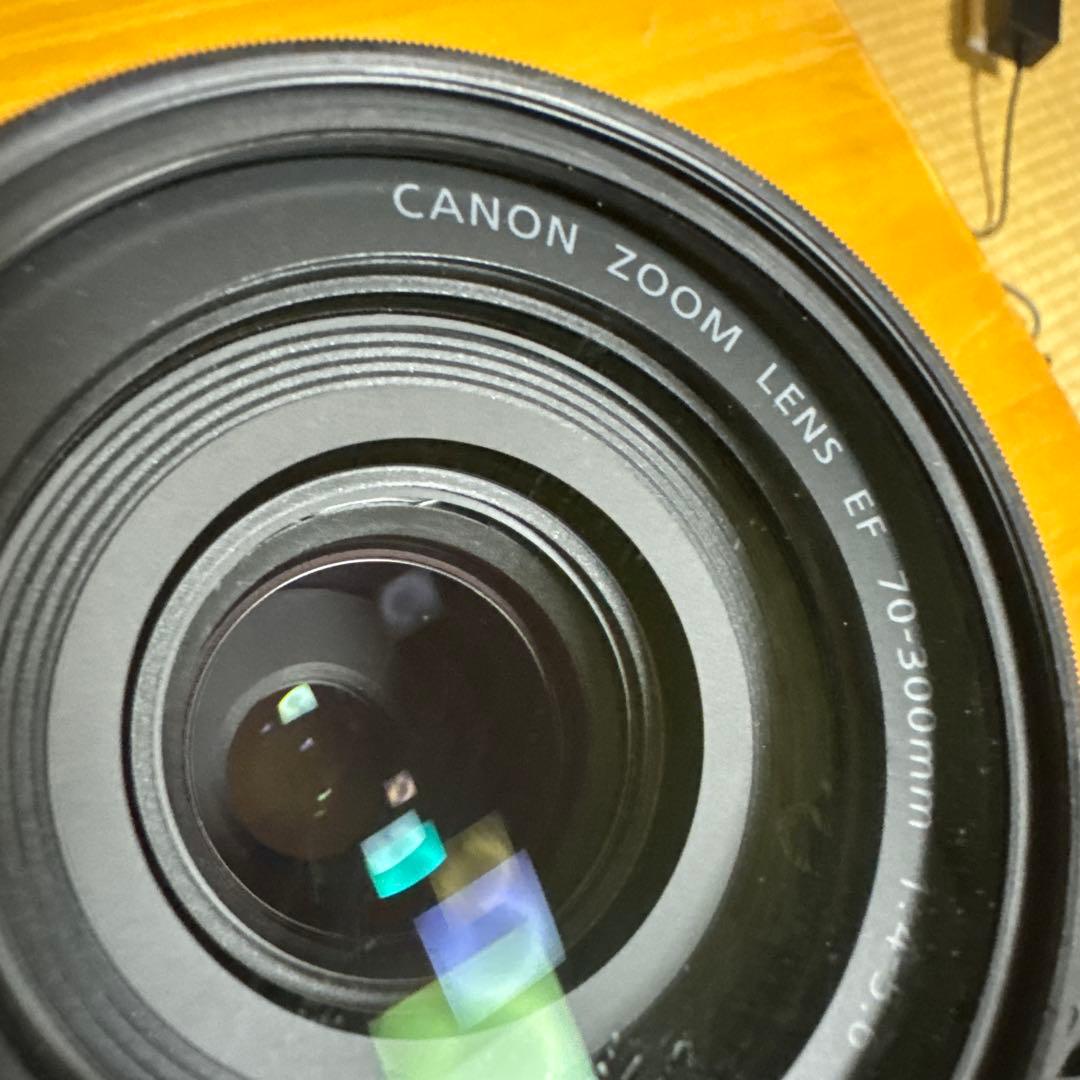 Canon 望遠ズーム EF70-300mm F4-5.6 IS II USM
