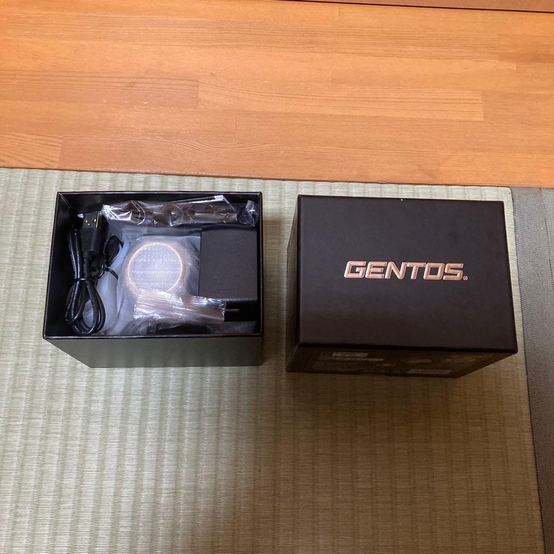 GENTOS GH-100RG ヘッドランプ 1100ルーメン