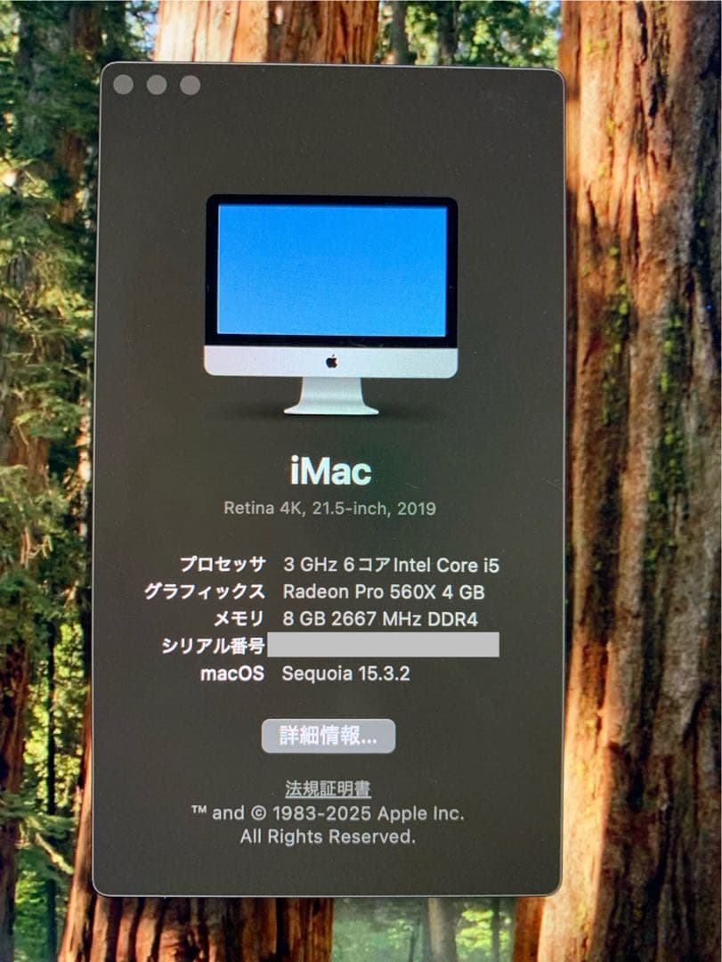 2019 iMac 21.5インチ Retina 4K 1TB