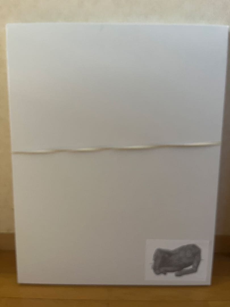 究*杯様 AICON シルクスクリーン 額装済み