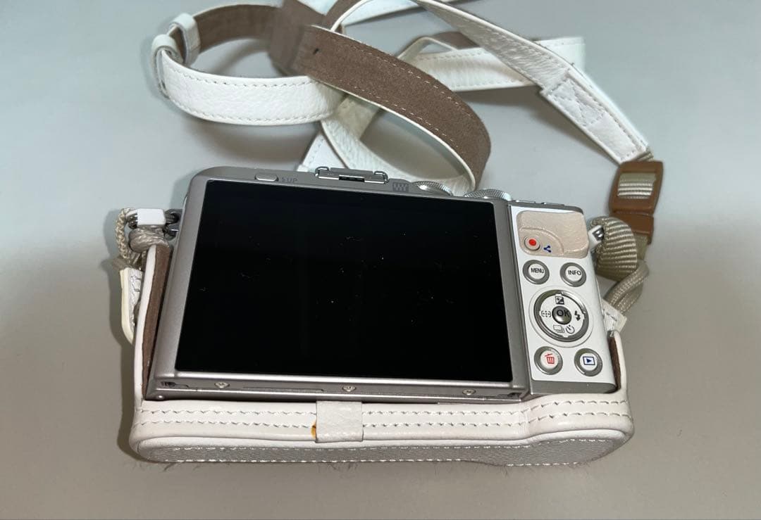OLYMPUS PEN E-PL9 ダブルズームキット＋マクロレンズ＋本革アクセ