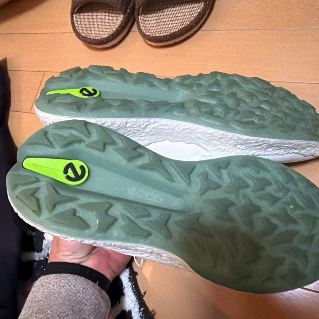 値引エコー最新ゴルフシューズ　ボアシステム