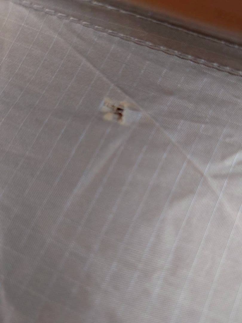 ゼインアーツ ロロ ZANEARTS LOLO