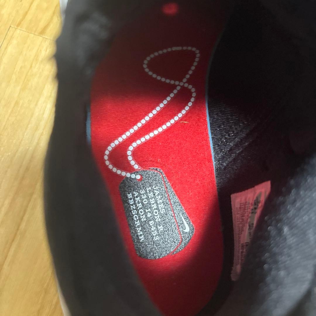 シューズ(男性用) Nike LeBron soldier 14