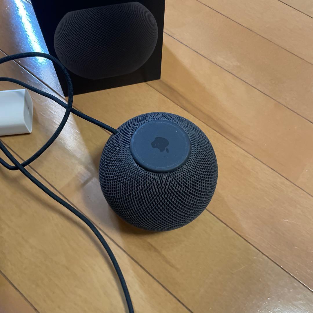 Apple Pod mini スペースグレー 本体