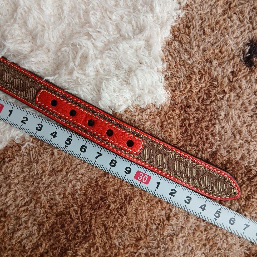 新品　未使用　COACH　コーチ　犬　シグネチャー　首輪　レア　XS　小型犬