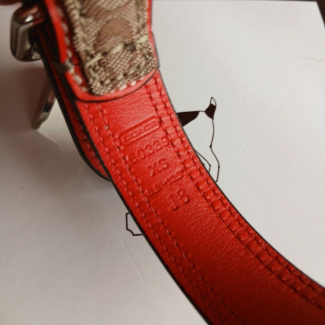 新品　未使用　COACH　コーチ　犬　シグネチャー　首輪　レア　XS　小型犬