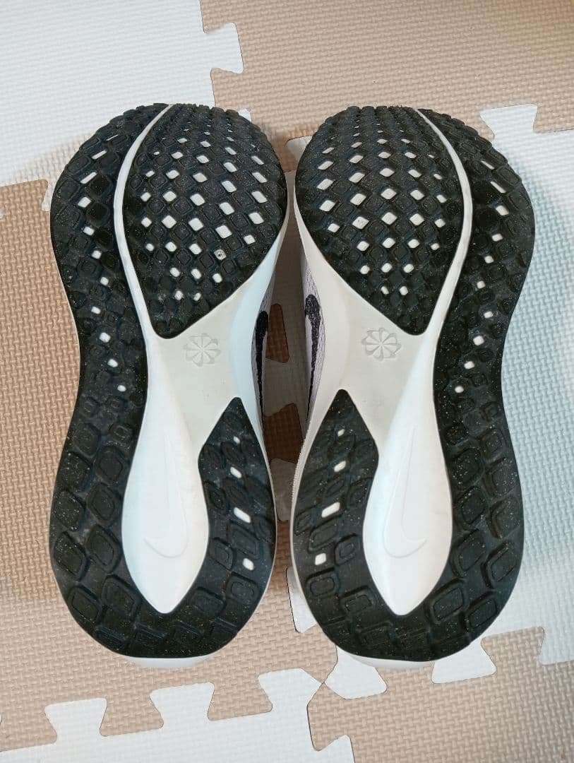 【26.5cm】ナイキ エアズーム ペガサス41　アルペン限定カラー　完売