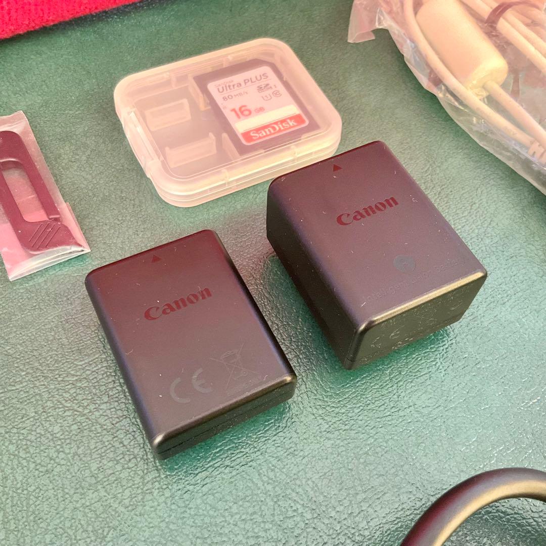 【美品】Canon iVIS HF R30