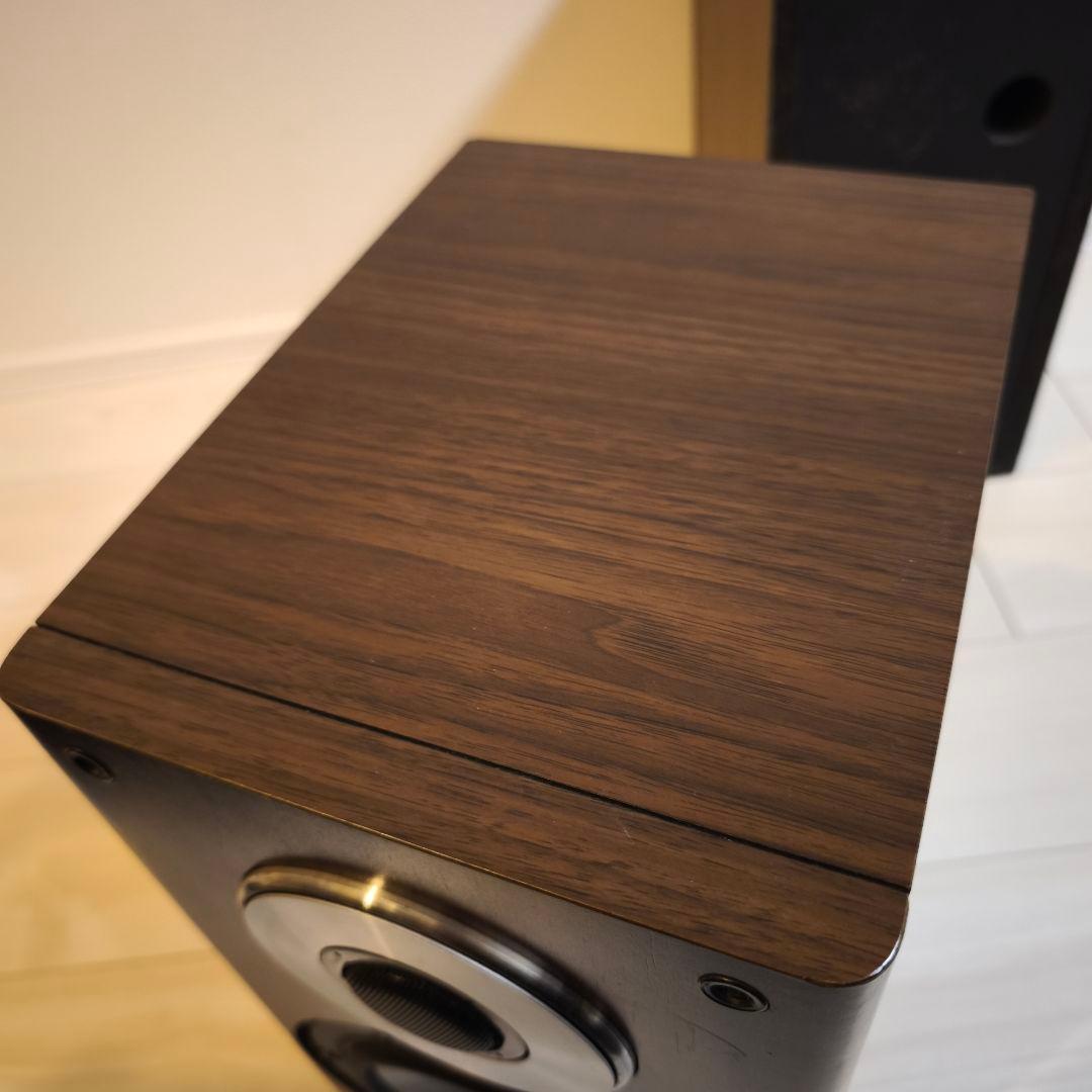 DIATONE DS-G20 ユニット ＋ DS-300V エンクロージャー