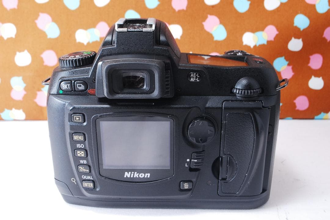 ✨お安くデビュー✨ショット数1071回✨Nikon D70 レンズセット