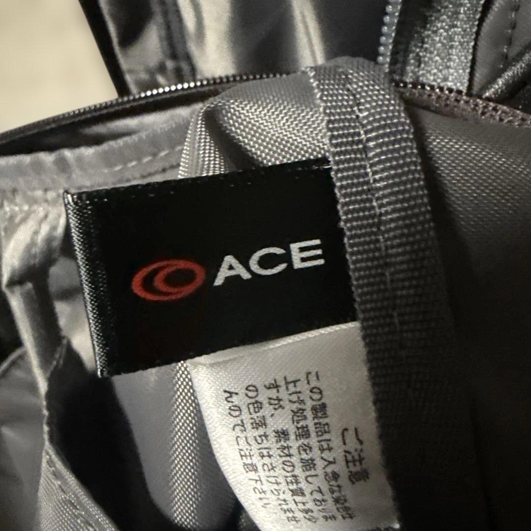 ガーメントバッグ ガーメントケース proteca ace エース 持ち運び