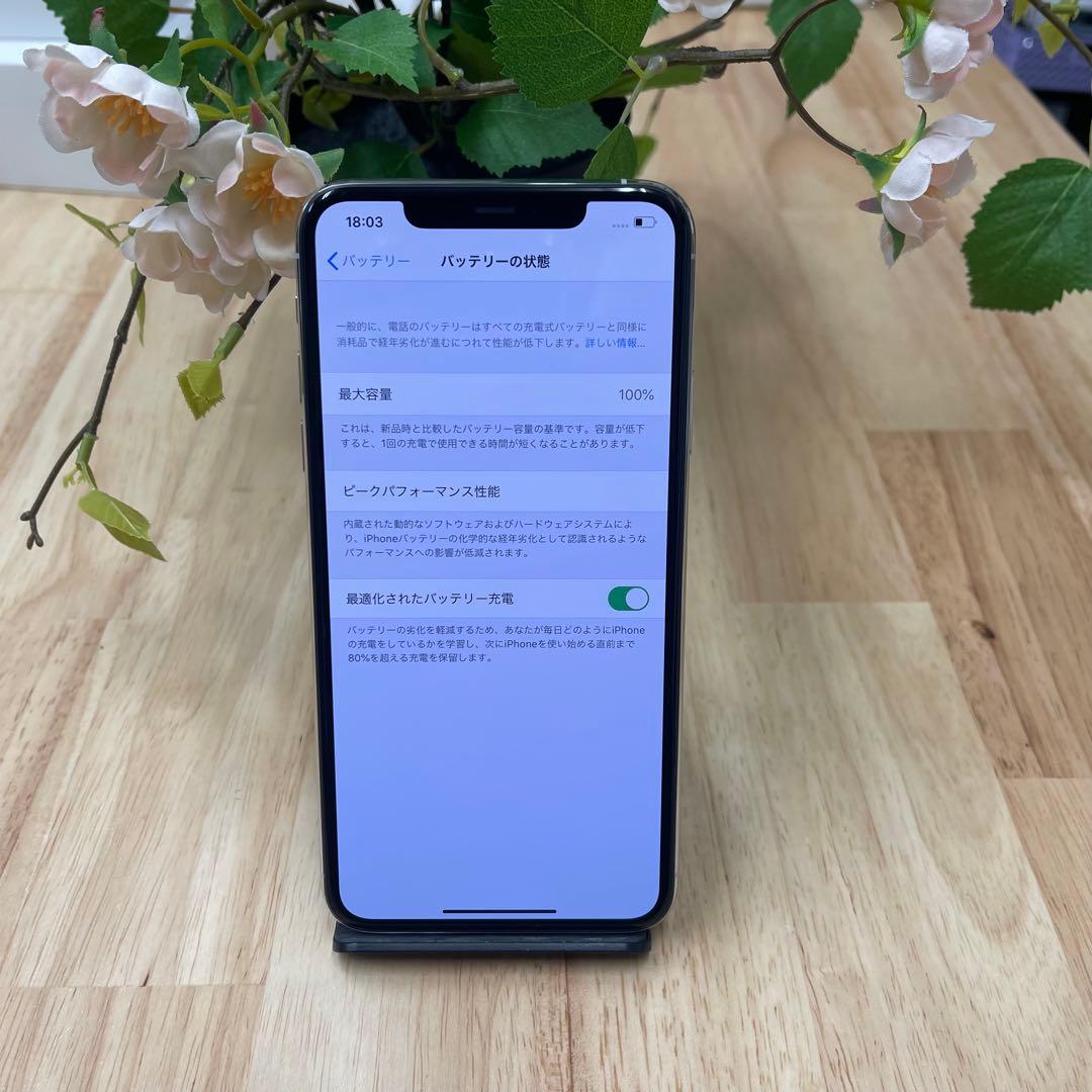 新品 iPhone 11ProMax 64Gb シルバー国内版SIMフリー