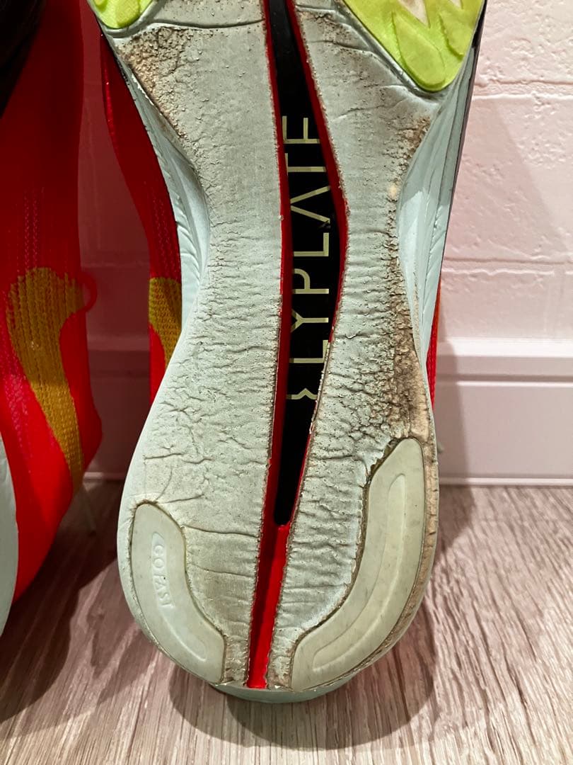 Nike ストリークフライ2 メンズ25.5cm